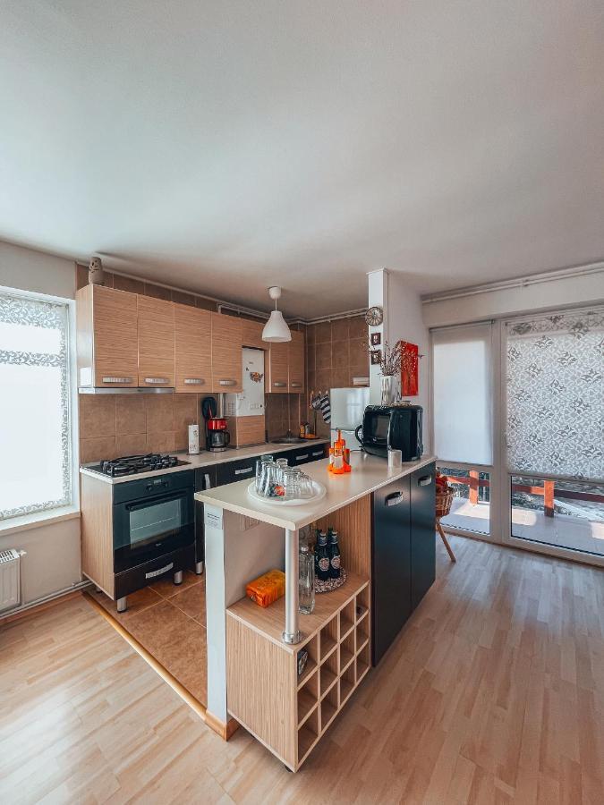 Apartament Sebiana Buşteni Zewnętrze zdjęcie